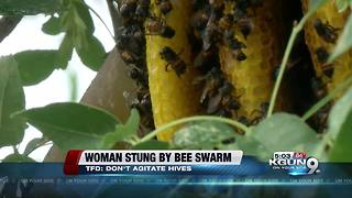 Woman stung by bees nearly 40 times