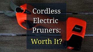 Cordless Electric Pruning Shears: Worth Using?