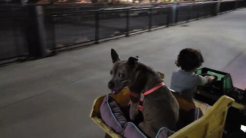 "Big Eartha" Nightlife Crusing the pier! Follow for more updates and upgrades!