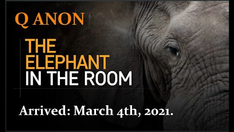 March 4th, 2021: The Day That Q Anon Officially Became the Truth Communities Elephant in the Room