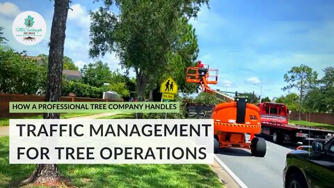 Local Tree Service for Roadside Work & Traffic Control