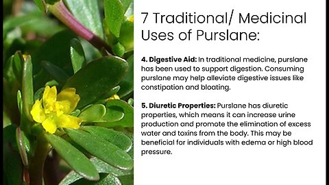 7 Traditional Uses of PURSLANE - DR. SEBI Approved - from NUTRITIONAL GUIDE