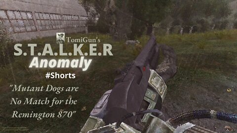 Mutant Dogs are No Match for the Remington 870 - S.T.A.L.K.E.R Anomaly Short Scene