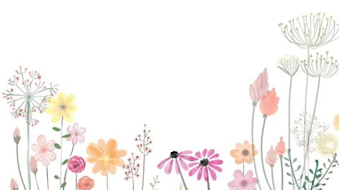 Shortsbetter Animated Flowers🌸 versatile After Effects video that contains a set of colorful flowers