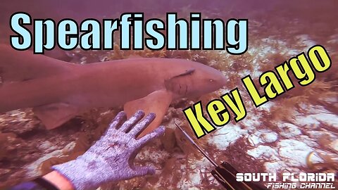Spearfishing Key Largo