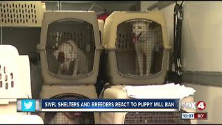 Southwest Florida activists, breeders react to CA puppy mill law