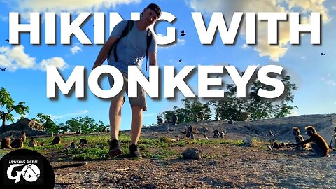 Hiking Trails with Mountain Monkeys in Hua Hin Thailand [3 hour drive from Bangkok]