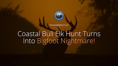 Coastal Bull Elk Hunt Turns Into Bigfoot Nightmare!