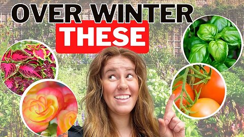 3 Ways To Over Winter Your ENTIRE Garden Indoors!?