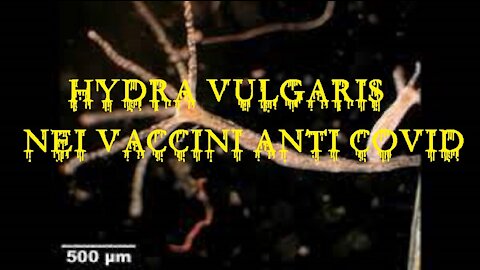 ⚠️☠️💉 Dr. Carrie Madej SHOCK: Hydra vulgaris nei vaccini anti covid - Idra