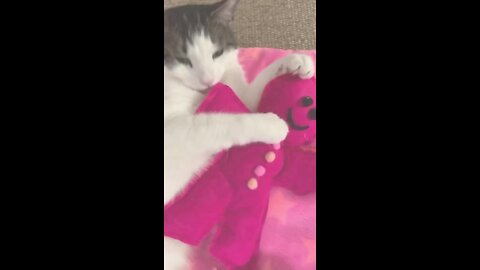 Cats go crazy for catnip infused toys