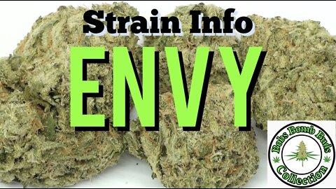 Envy Cannabis Strain Review, Order Weed Online.