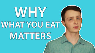 Why What You Eat Matters