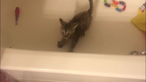 Kitty Can’t Jump Out Of A Bathtub
