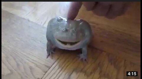 Crazy frog scream