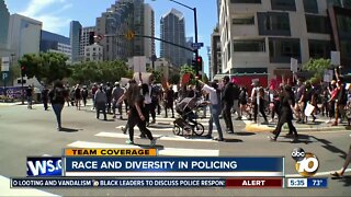 Race and diversity in policing
