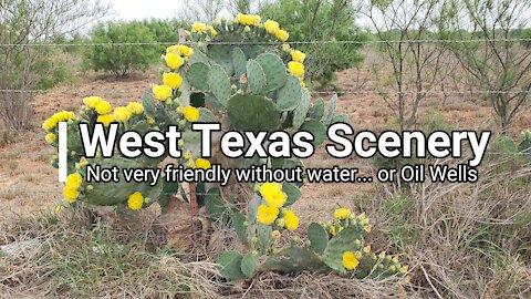 West Texas Scenery - Cacti, Water and Oil Wells