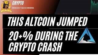 This Altcoin Just Jumped 23% During the Crypto Crash