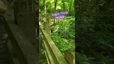 Ozark Trail Beauty 🐕 #crystinasmart #lowkeymagickal #oztrails #oztrailsnwa #tinytarot #tarot #hike