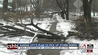 KCMO to implement service to pick up tree branches