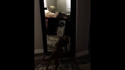 Penny sees herself in the mirror, attacks her reflection