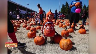 We talk with Tampa Bay Parenting Magazine about their complete guide to fall festivities