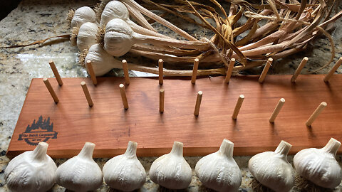 Grading Garlic Bulbs For Seed