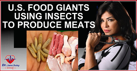 U.S. FOOD GIANTS USE INSECTS IN REAL MEAT PRODUCTS