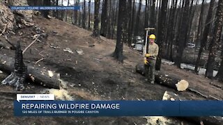 Repairing wildfire damage in Poudre Canyon
