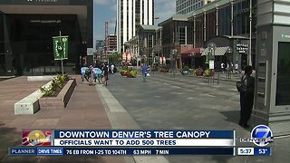 Trying to improve downtown Denver's tree canopy