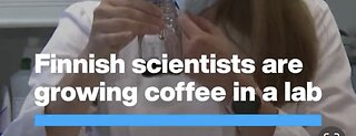 World Economic Forum: Lab Grown Coffee