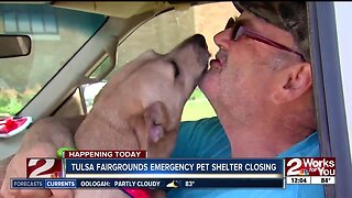 Pet owners have emotional reunions with animals after being separated by flooding concerns
