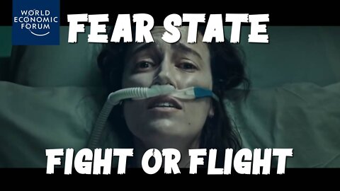 Fear State: Fight or Flight!