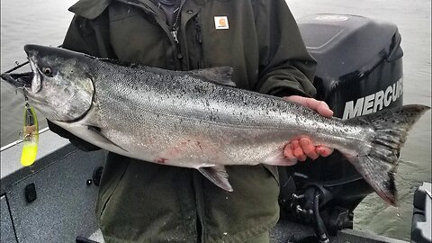 Anchor Fishing Spring Chinook with Special Guest!