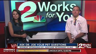 Dr. Joe visits midday to answer pet questions