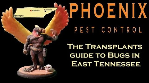 The Transplants Guide to East Tennessee Bugs #whatbugsme | Phoenix Pest Control