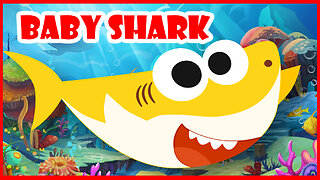 Baby Shark Song doo doo doo doo , KID SONG TV