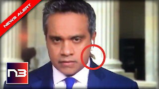 CNN Reporter Absolutely Loses It As Huge Bug Crawls Up His Neck On Camera