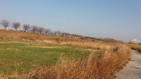 A view of the bike path looking up from the bottom of the hill.