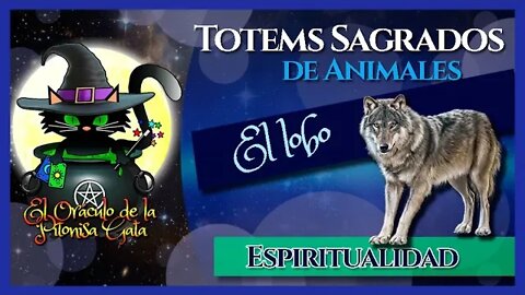 🍀El TOTEM de EL LOBO👍El lobo como ANIMAL DE PODER🐺 ESPIRITUALIDAD😇