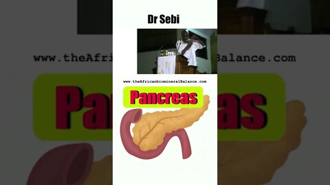 DR SEBI- DIABETES and the PANCREAS (Diabetes Treatment) #shorts #drsebi #diabetescure #diabetestips