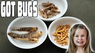 School Lunch Program Feeding Bugs to Children