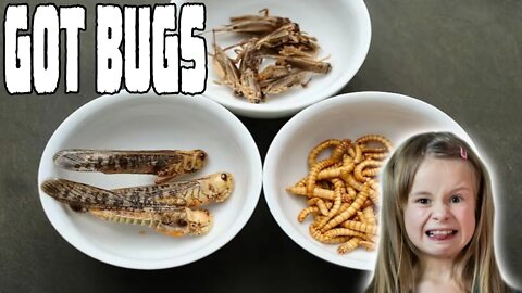 School Lunch Program Feeding Bugs to Children