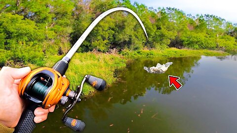 Fishing for 15lb Bass in HIDDEN Trophy Pond!