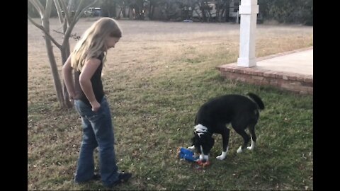 Charlie's New Toy