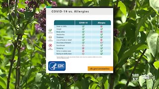 Allergies v. COVID-19
