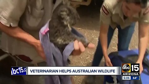 Local veterinarian raising money to help animals impacted by Australia fires