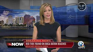 Red tide found on Boca Raton beaches
