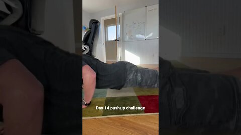 Day 14 pushup challenge