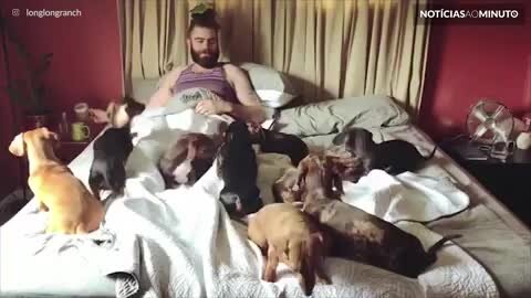 Invasão de cachorros: a melhor forma para acordar de bom humor